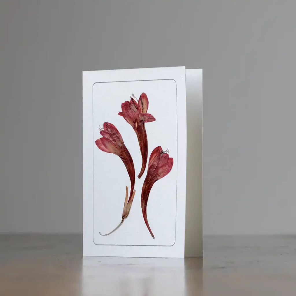 Tarjeta de flores prensadas sobre superficie de madera, con luz natural ambiente.