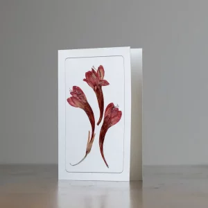 Tarjeta de flores prensadas sobre superficie de madera, con luz natural ambiente.