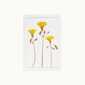 Tarjeta artesanal con tres flores prensadas amarillas sobre fondo blanco, vista frontal.