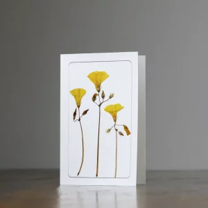 Tarjeta floral sobre mesa de madera, mostrando composición con flores secas de tono amarillo.