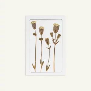 Tarjeta de flores secas en posición vertical, apoyada sobre fondo neutro con iluminación suave.