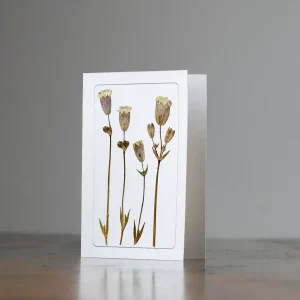 Tarjeta floral con flores prensadas blancas colocada sobre mesa, en ambiente natural.
