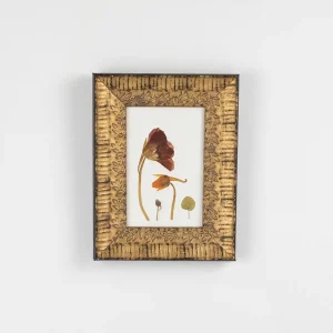 Vista frontal del cuadro con flores prensadas de capuchina en marco dorado con relieve vegetal.