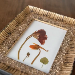 Vista cercana del cuadro con capuchinas prensadas mostrando color y textura sobre fondo blanco.