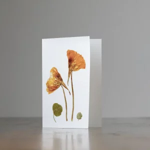 Tarjeta botánica sobre mesa, con flores prensadas en tonos cálidos y hojas circulares.