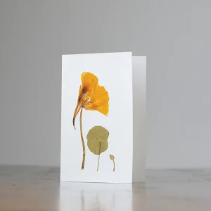 Tarjeta vertical con flor prensada de capuchina sobre fondo neutro, colocada en mesa.