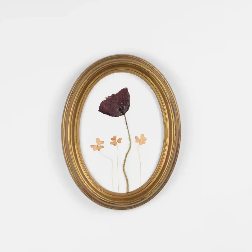 Cuadro ovalado con amapola prensada y tréboles sobre fondo blanco, enmarcado en madera dorada envejecida.