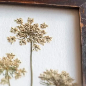 Detalle cercano de los floretes prensados sobre papel de acuarela artesanal.