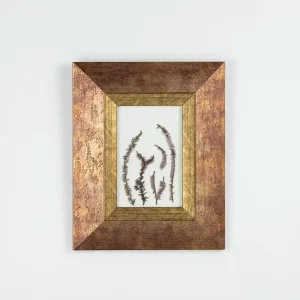 Vista frontal del cuadro con flores de brezo prensadas y enmarcadas artesanalmente.