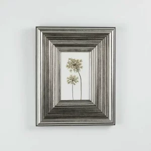 Vista frontal del cuadro con zanahoria silvestre prensada en marco plateado sobre fondo blanco.