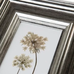 Detalle de flores prensadas sobre fondo blanco con tallos largos y pétalos pálidos.