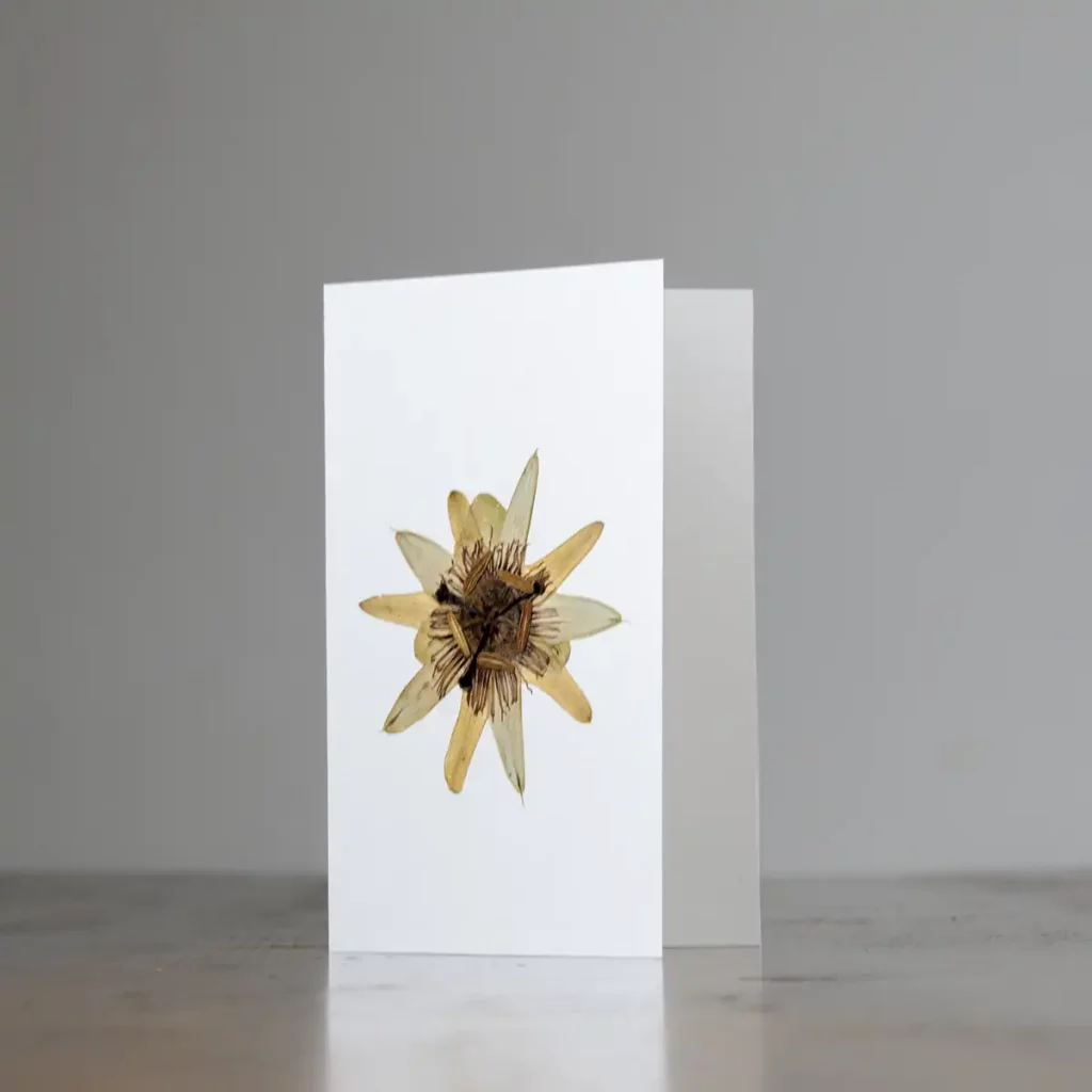 Tarjeta botánica sostenida en mano papel natural sin blanquear con composición vegetal única