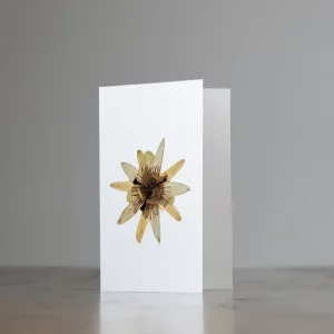 Tarjeta botánica sostenida en mano papel natural sin blanquear con composición vegetal única