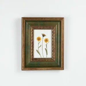 Vista frontal del cuadro de flores prensadas con marco verde y dorado sobre pared blanca.