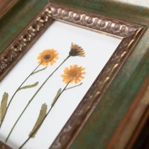 Detalle de las flores prensadas mostrando texturas sobre papel de acuarela blanco.