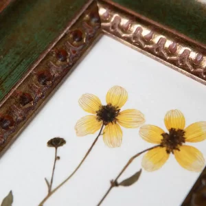 Detalle de las flores prensadas con pétalos amarillos y centro oscuro enmarcadas.