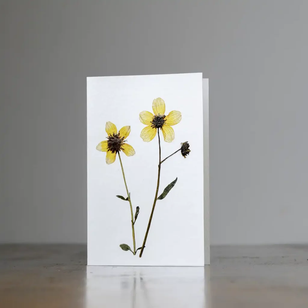 Tarjeta artesanal de flores secas con enfoque lateral sobre superficie neutra