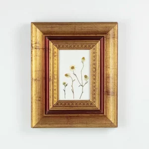 Vista frontal del cuadro con margaritas prensadas enmarcadas en marco dorado sobre pared blanca.