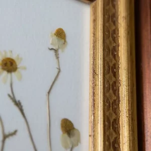 Detalle de las flores prensadas mostrando pétalos y detalle marco dorado.