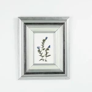 Vista frontal del cuadro con violetillas prensadas enmarcado en marco plateado sobre pared blanca.