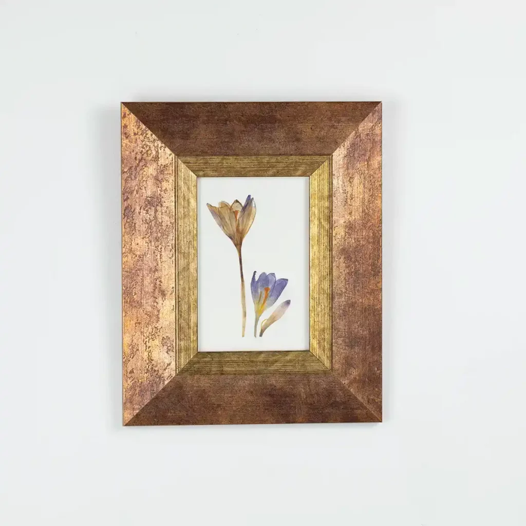 Vista frontal del cuadro con falso azafrán prensado en marco dorado-cobrizo sobre pared blanca.