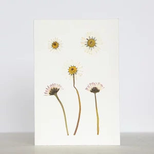 Tarjeta de flores silvestres