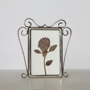 Trebol rojo prensado en maraco de acero