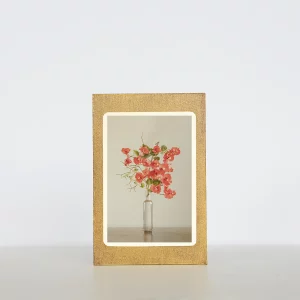 Bodegón con bugambilia roja