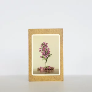 Bodegón con bugambilia rosada