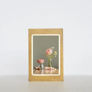 Bodegón con rosas y pétalos caídos