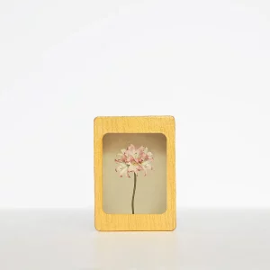 Imán lirio de San José