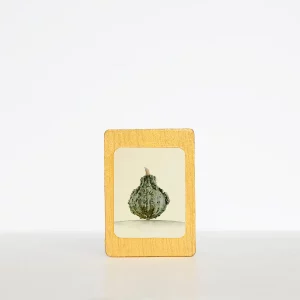 Imán calabaza decorativo