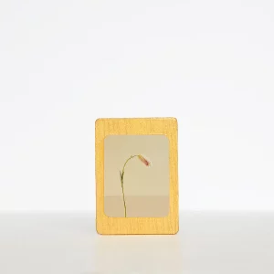 Imán flor colleja silvestre