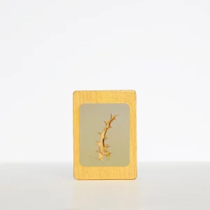 Imán hoja de cardo sobre madera decorativa vintage