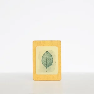 Imán hoja otoño cianotipia