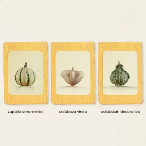 Colección de tres imanes de calabazas