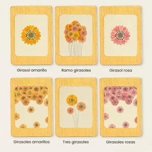 Colección de seis imanes de girasoles